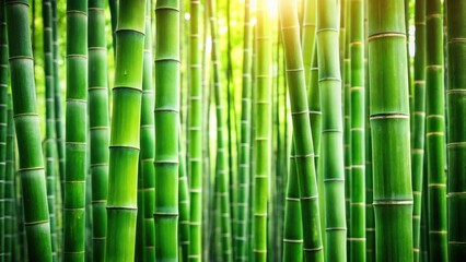 Fototapeta premium Lush Green Bamboo Forest A Vibrant Display of Nature's Strength and Serenity