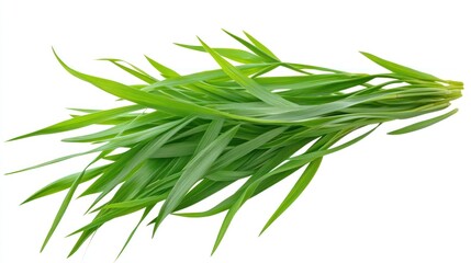 Fototapeta premium Vibrant Green Grass Blades, Freshly Cut, Isolated on White Background