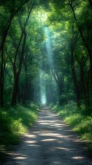 Obraz premium Sunbeams through a lush forest path