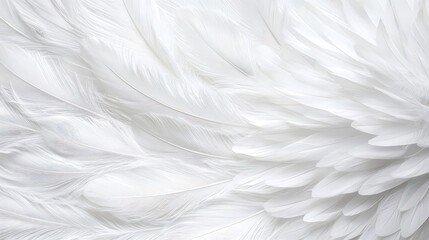 Obraz premium Premium skincare products on a delicate feather-patterned surface