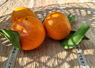 Fresh oranges on textured background with shadows