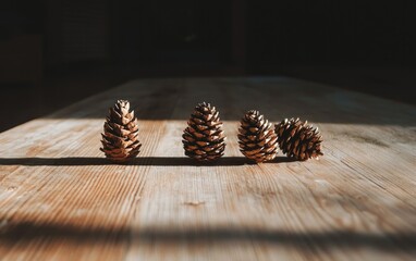 Four Pine Cones on Wooden Table
