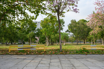 shot3_empty_scene