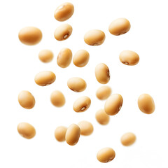 Several soybeans scattered, beige and oval, floating on a white background, healthy and protein-rich.