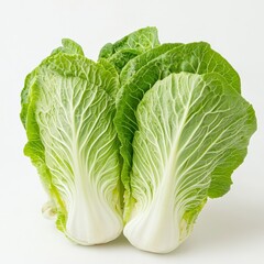 Fresh Green Napa Cabbage on White Background