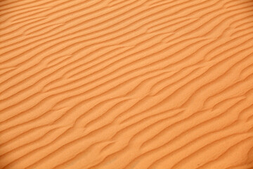 Textured Desert Sand Patterns Under Bright Sunlight in Warm Tones