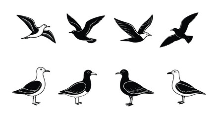Fototapeta premium A set of eight seagull vector silhouette designs.