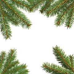 Christmas Fir Branches Isolated on Transparent Background