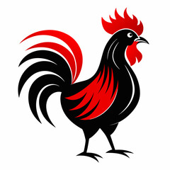 rooster isolated on white background