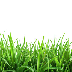 Fototapeta premium Green Grass Border Frame Isolated on White Background