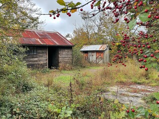 Overgrown Rustic Shed with Weathered Wood and Rusty Metal Roof in Autumn