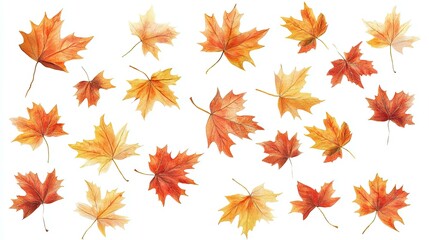 Obraz premium Falling autumn maple leaves on natural background