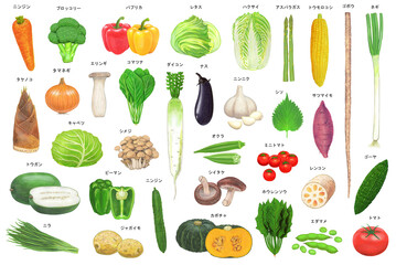 いろいろな野菜のイラストセット