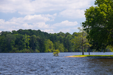 Toledo Bend Reservoir, Texas
