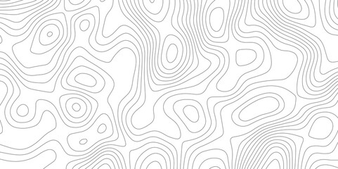 Fototapeta premium Abstract topography pattern lines sea map area space geometric strip grid line topo map technology modern design white background.