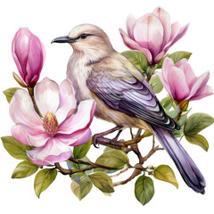 Bird on a flower water color illustration 