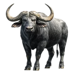 Printed roller blinds Black buffalo standing with curved horns, strong bovine animal in side view, clipart on transparent background