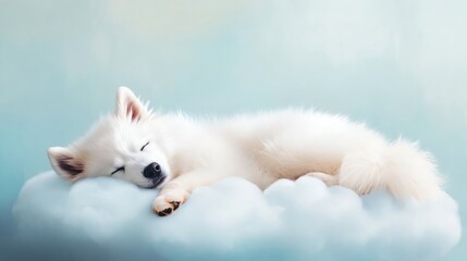 Fototapeta premium Adorable dog sleeping peacefully on cloud.