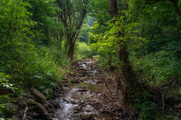 View of the ecological trail on the territory of the Nizhne-Arkhyz settlement in the valley of the Bolshoy Zelenchuk River, Nizhny Arkhyz, Karachay-Cherkessia, Russia