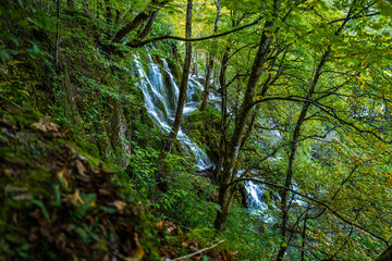 Plitvice Lakes National Park. Croatia. Big waterfalls. Nature travel background. Beautiful nature. Plitvice waterfalls in Croatia. Mountain streams flow into a lake with azure clear water.