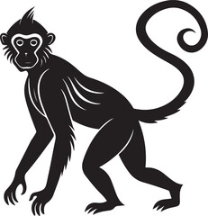 Silent Grace of a Monkey in Silhouette