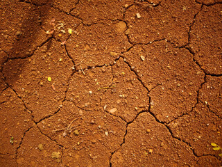 dry cracked earth