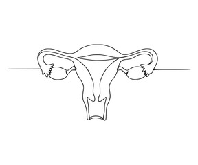 Menstrual Cycle Line Art – Minimalist Uterus and Reproductive Health Designs