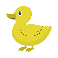 Cute little duck vector cartoon illustration
