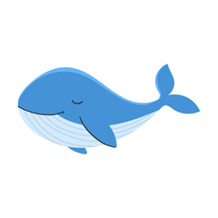Blue whale cartoon vector illustration