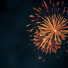 Fototapeta premium Fireworks on the night sky 