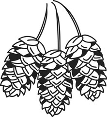 Fototapeta premium Hops illustration three botanical hop cones, black and white beer brewing ingredient, vintage botanical design