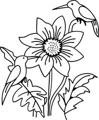 Obraz premium Hummingbirds and sunflower line art nature, floral, wildlife illustration