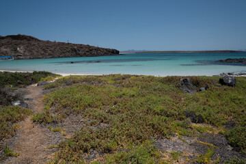 Coronado island in Baja California Sur, Mexico. Desert landscape 