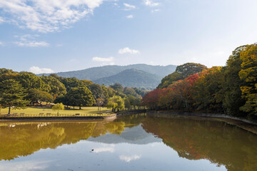 日本奈良公園側の荒池の穏やかな秋の風景