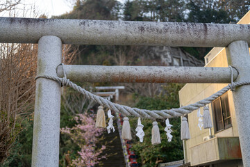 桜咲く参道と石造りの鳥居