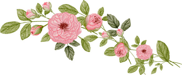 Rose arrangement watercolor