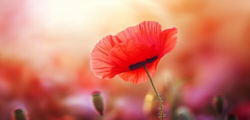 A single red hibiscus flower against a blurred tropical background of greenery. 