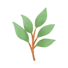 Leaf illustration