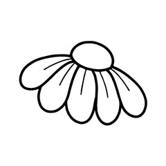 white flower on a black background cartoon 