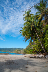 Tropical exotic beach surrounded by palm trees in Costa Rica, Pura Vida