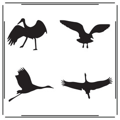 Obraz premium Swan silhouette, Swan illustration ,Swan clipart, Swan vector ,Swan icon , black Swan, Swan illustration on white background,