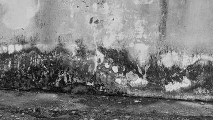 Fototapeta premium Damaged concrete wall with mold pattern.