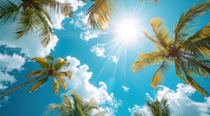 Fototapeta premium Palm Trees and a Bright Blue Sky