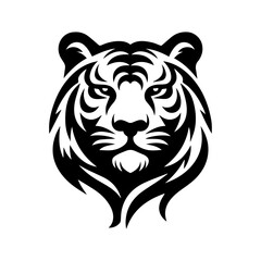 Tiger head vector White Tigers Rare and Beautiful Creatures of the Wild