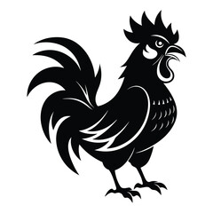 rooster isolated on white