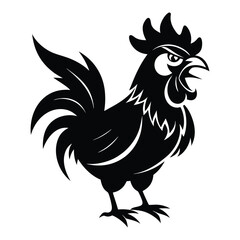 rooster isolated on white background