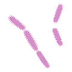 ウェルシュ菌のイラスト