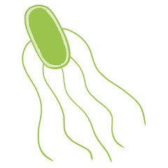 サルモネラ菌のイラスト