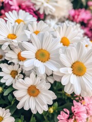 Obraz premium A Vibrant Display of White Daisies with Yellow Centers Surrounded by Colorful Flowers in a Lush Garden Setting, Perfect for Nature Enthusiasts and Flower Lovers