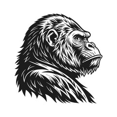 Gorilla vector illustration, detailed vector, pencil sketch style, monochrome design, isolated on a white background